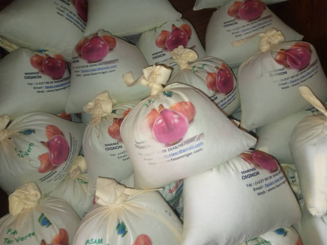Semences d'Oignon produites en Agroécologie