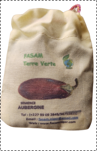 Semence Aubergine africaine (Solanum aethiopicum)