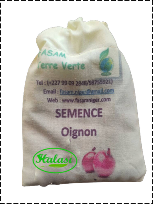 Semence Oignon violet